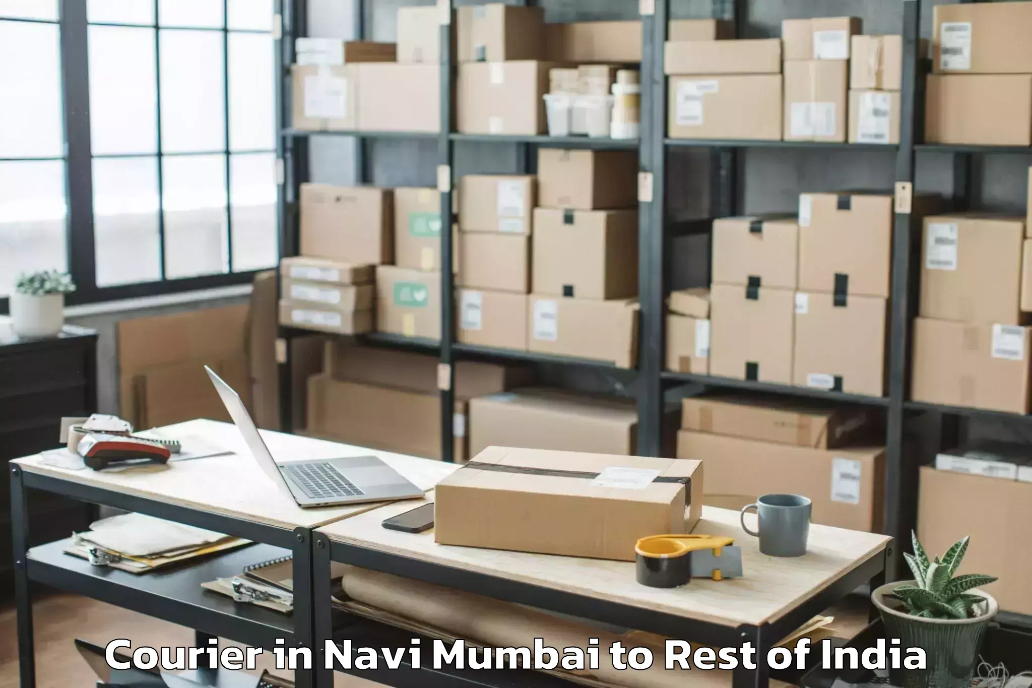 Professional Navi Mumbai to Shergaon Courier